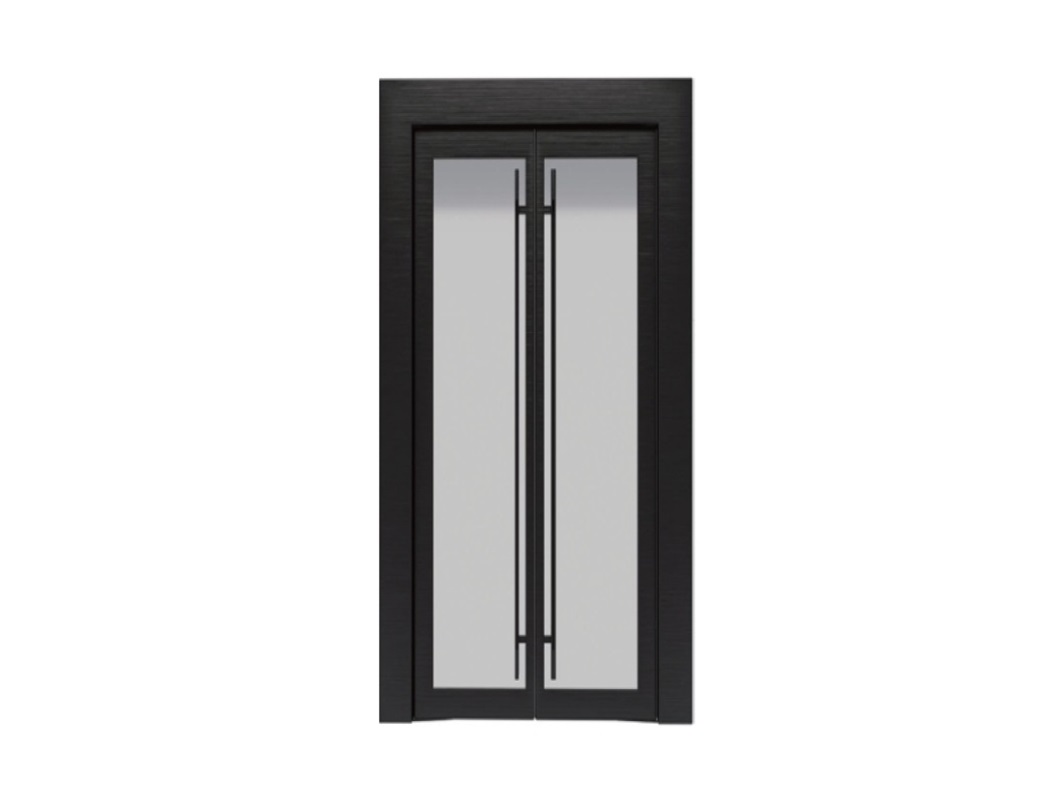 Introduction to Special Doors